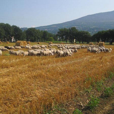 ريفيوتورتو Il Tugurio Agriturismo B&B المظهر الخارجي الصورة