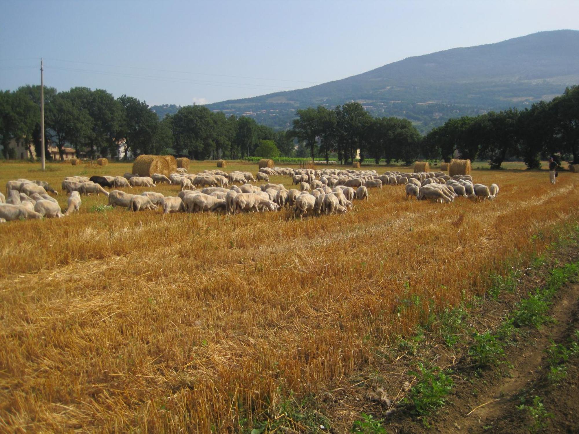 ريفيوتورتو Il Tugurio Agriturismo B&B المظهر الخارجي الصورة